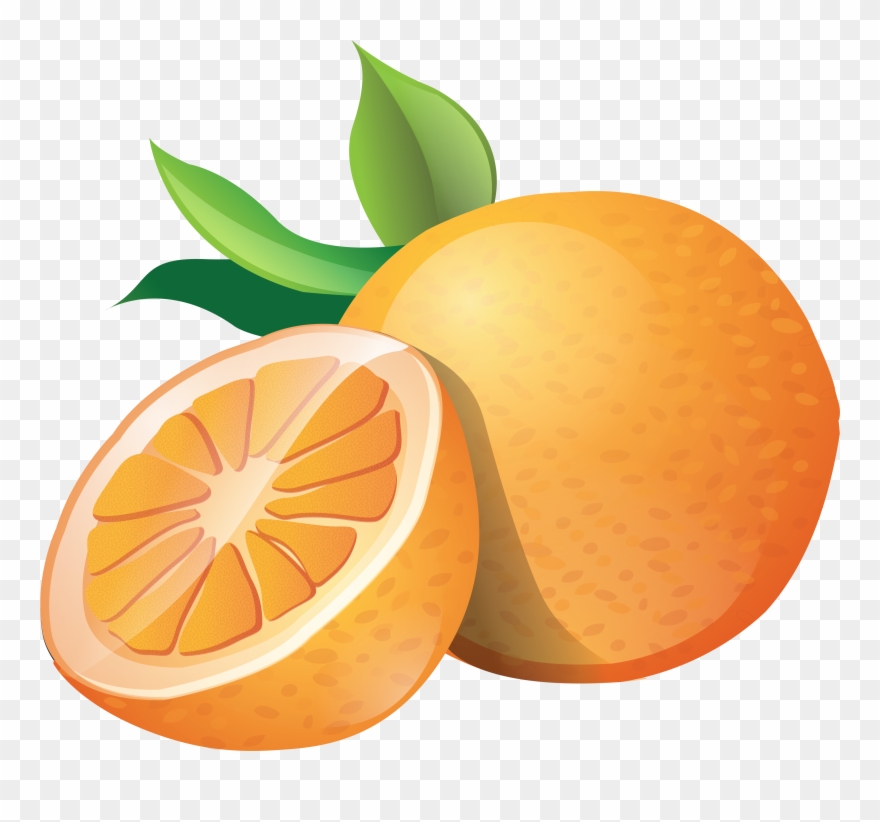 Detail Orange No Background Nomer 29