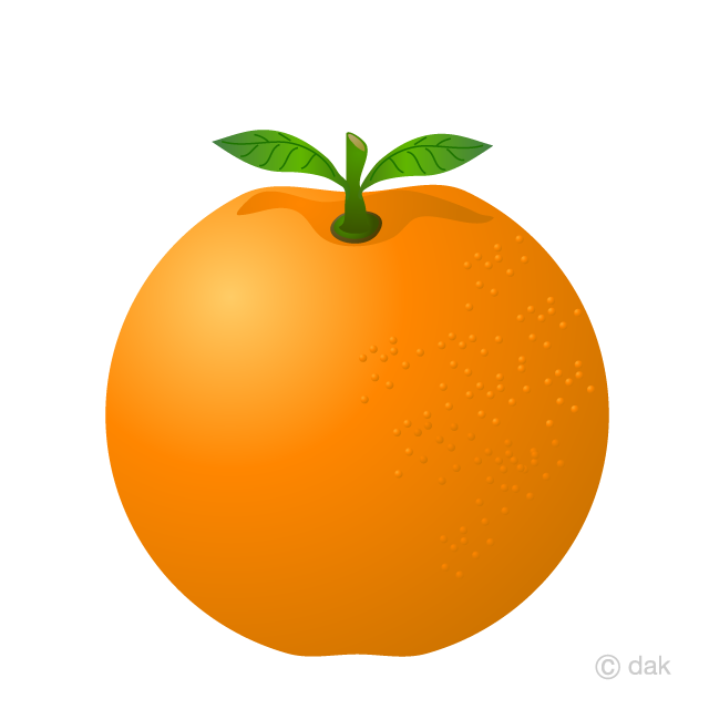 Detail Orange No Background Nomer 34
