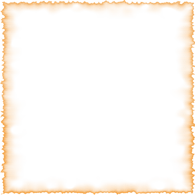 Detail Orange No Background Nomer 41
