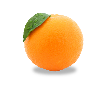 Detail Orange No Background Nomer 43