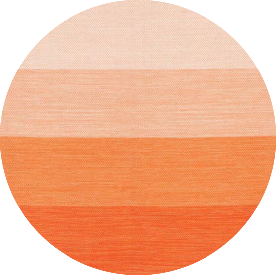 Detail Orange No Background Nomer 45