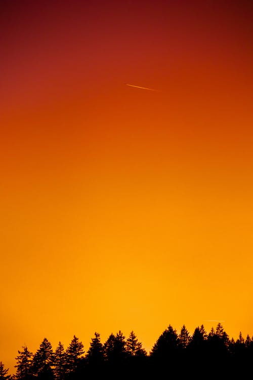 Detail Orange Sky Background Nomer 9