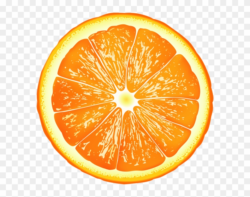 Detail Orange Slice Png Nomer 11