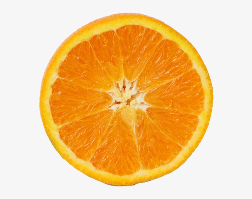 Detail Orange Slice Png Nomer 13