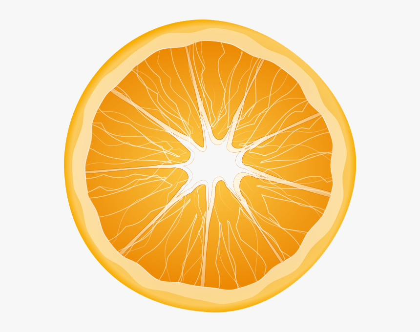 Detail Orange Slice Png Nomer 15