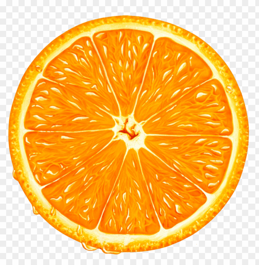 Detail Orange Slice Png Nomer 3