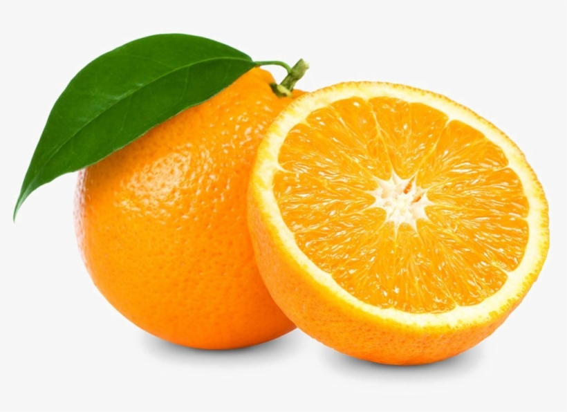 Detail Orange Slice Png Nomer 21