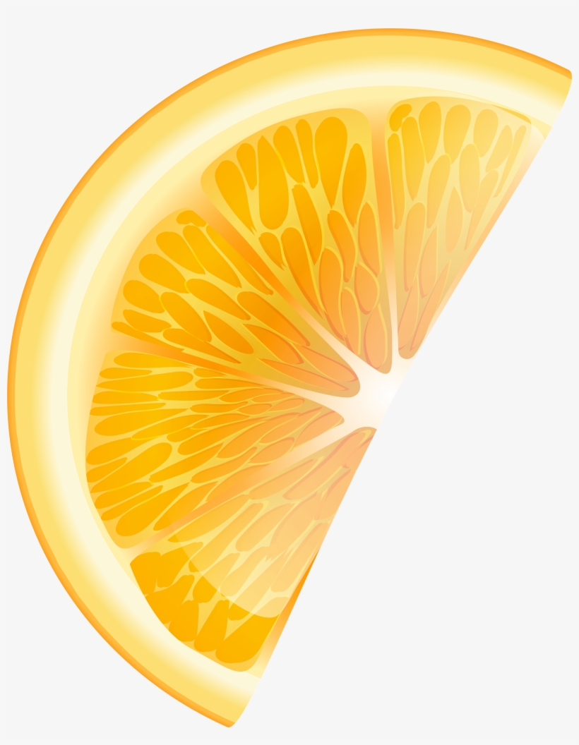 Detail Orange Slice Png Nomer 24