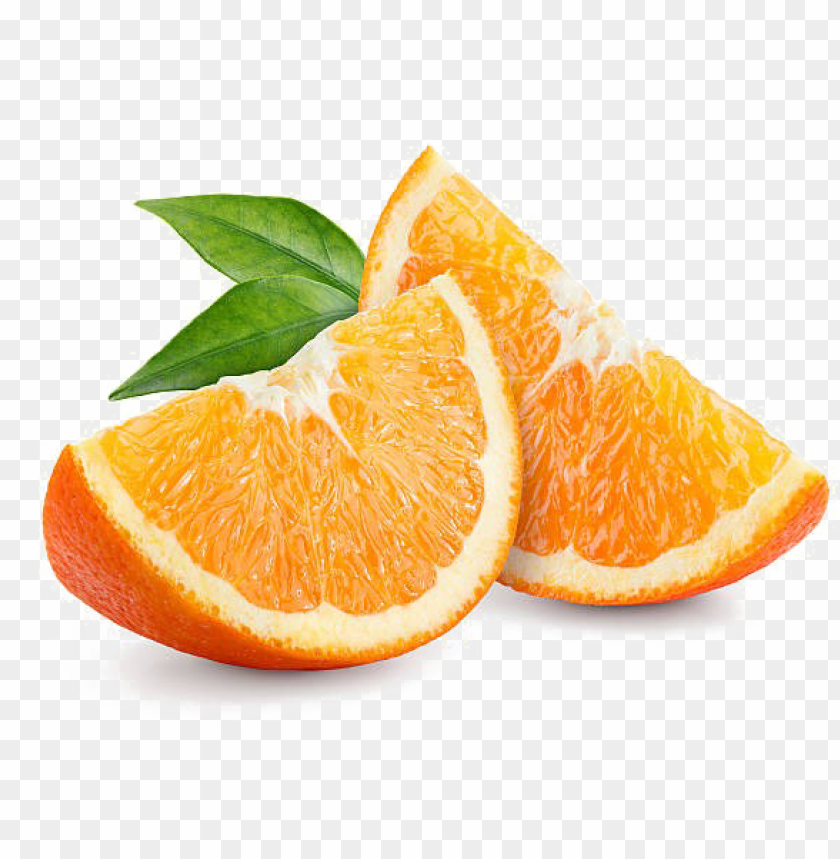 Detail Orange Slice Png Nomer 4