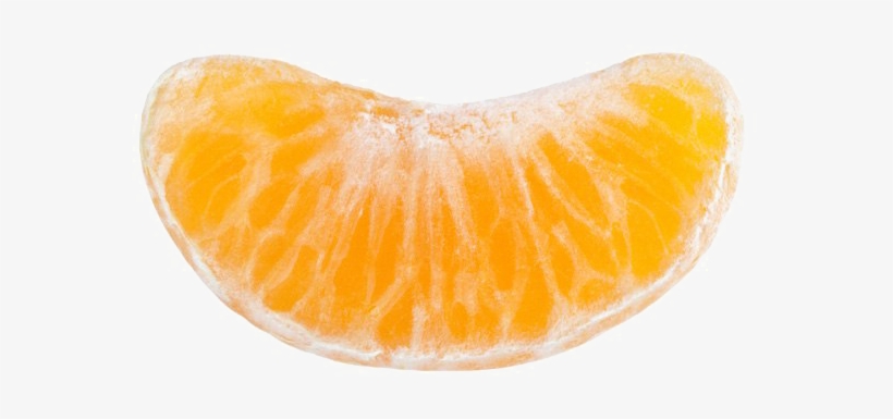 Detail Orange Slice Png Nomer 31