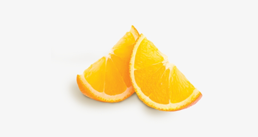 Detail Orange Slice Png Nomer 32