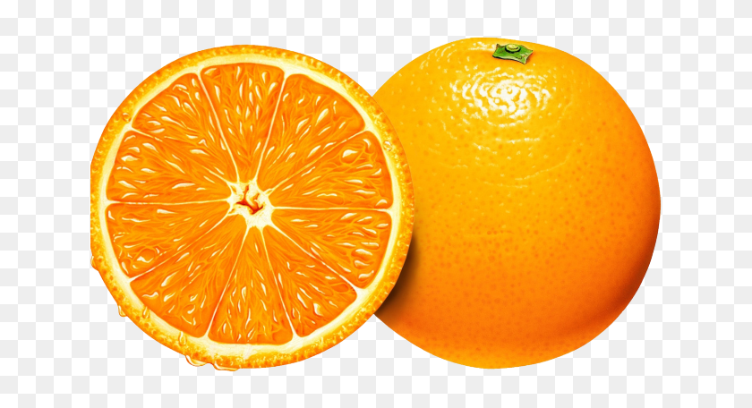 Detail Orange Slice Png Nomer 36