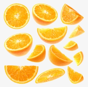 Detail Orange Slice Png Nomer 46