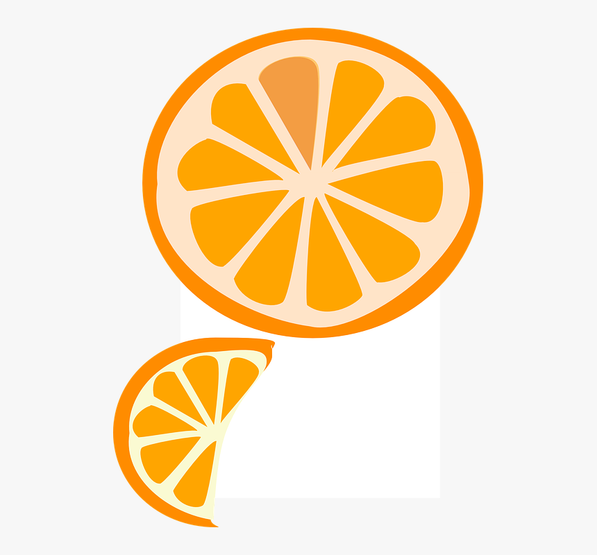 Detail Orange Slice Png Nomer 53