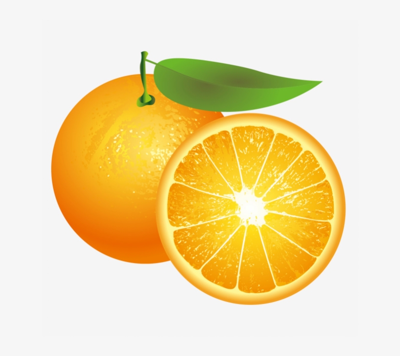 Detail Orange Slice Png Nomer 54