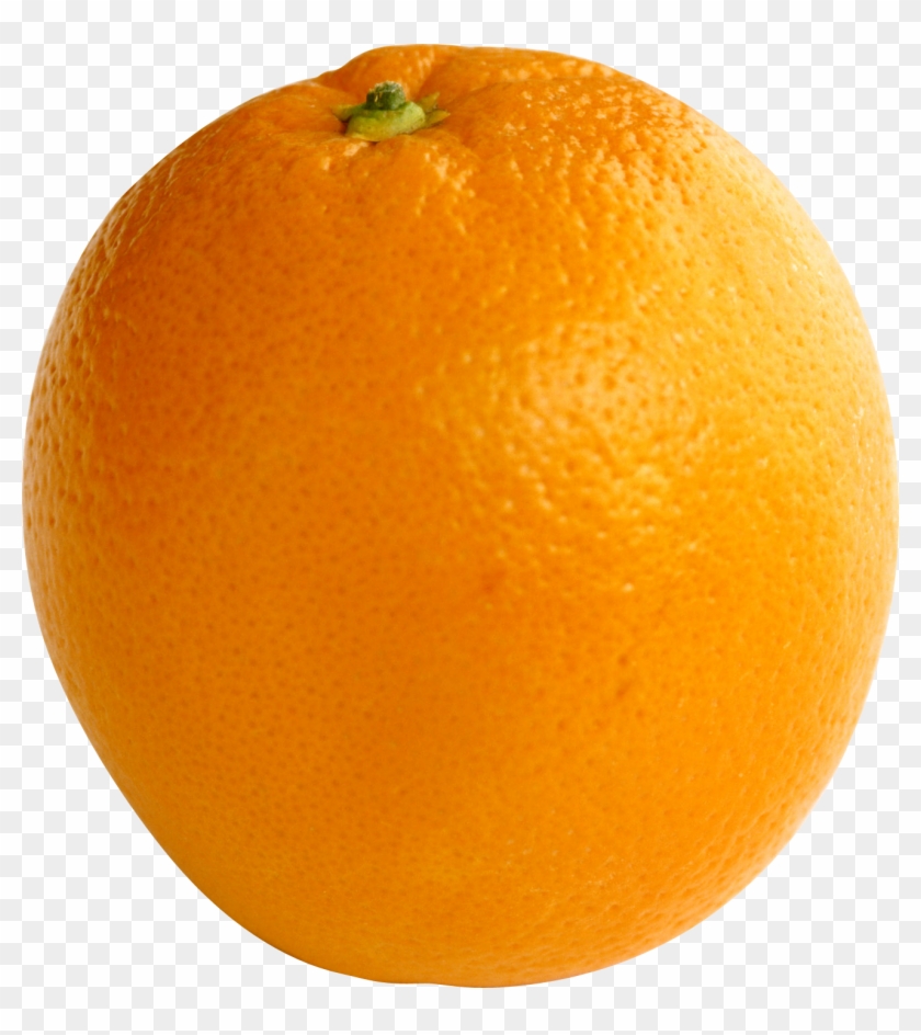 Detail Orange Transparent Background Nomer 5