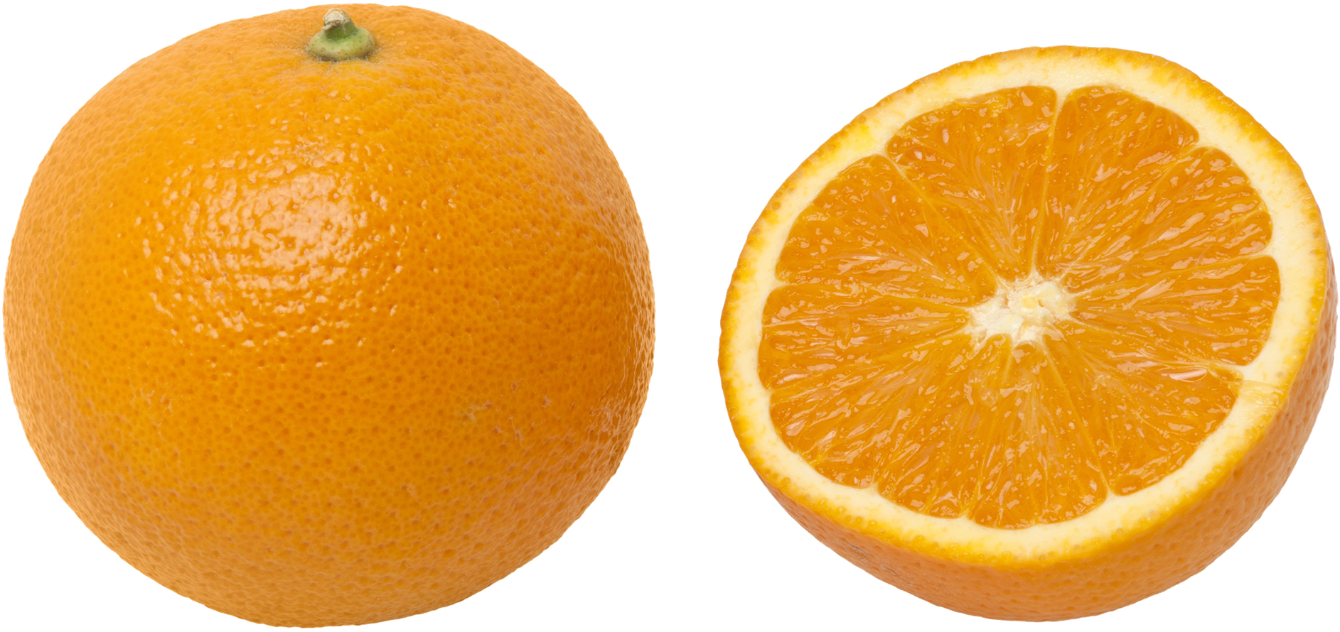 Detail Orange Transparent Background Nomer 6