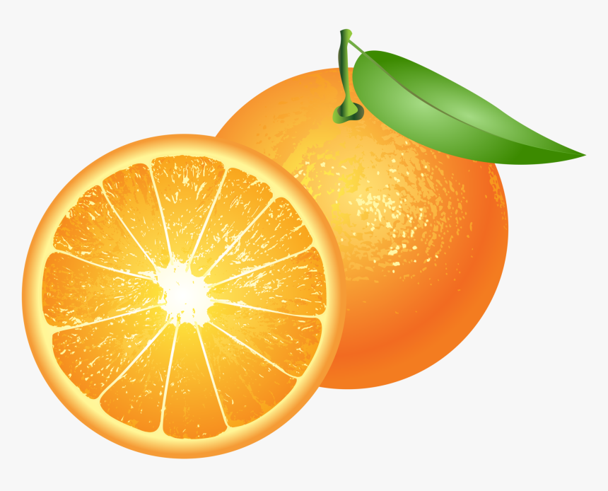 Detail Orange Transparent Background Nomer 10