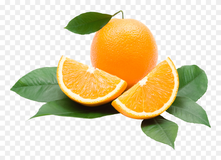 Detail Orange Transparent Background Nomer 11