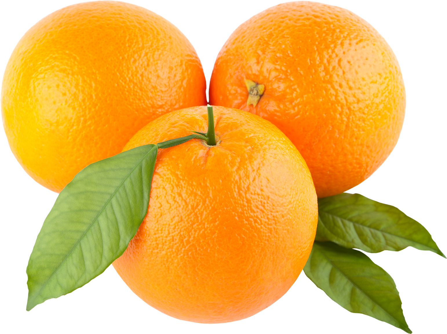 Detail Orange Transparent Background Nomer 12