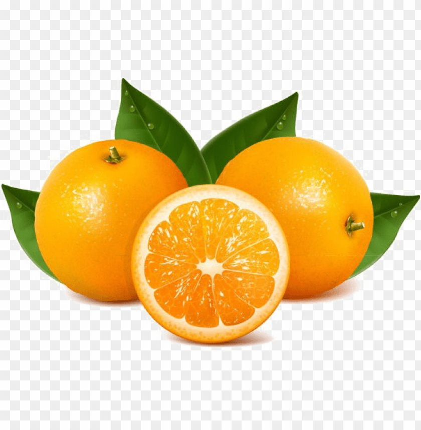 Detail Orange Transparent Background Nomer 17