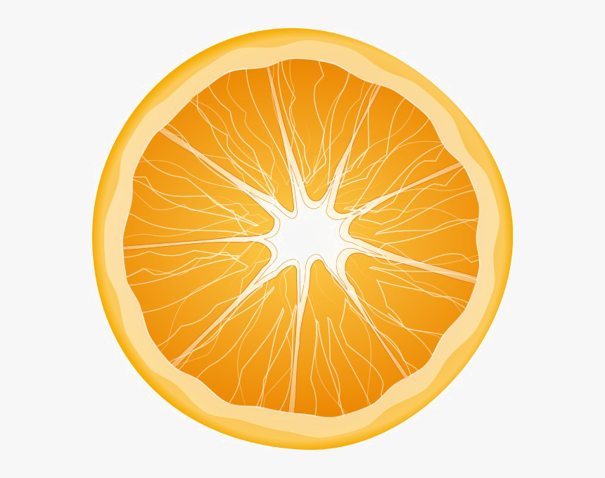 Detail Orange Transparent Background Nomer 25