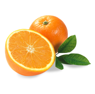 Detail Orange Transparent Background Nomer 33
