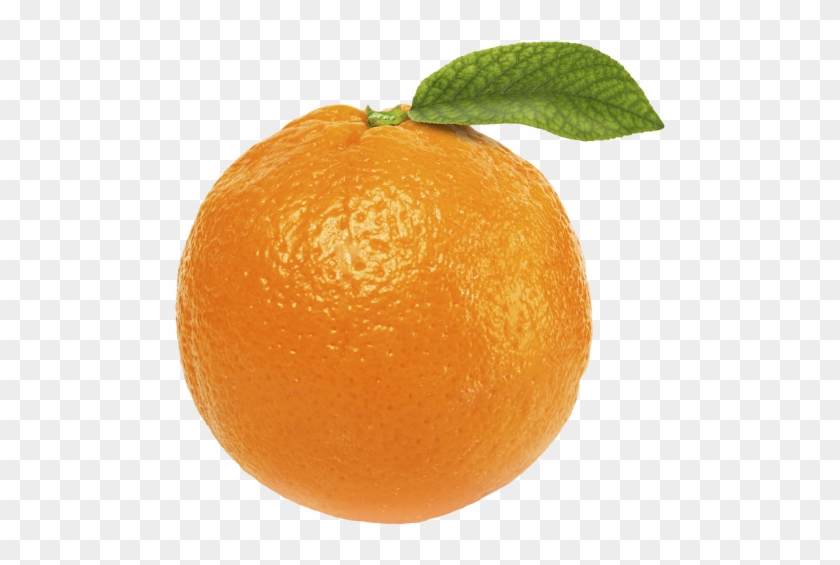 Detail Orange Transparent Background Nomer 34