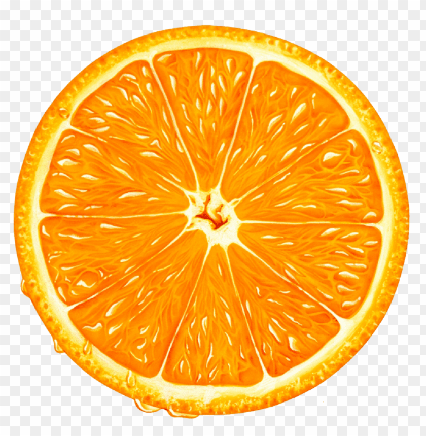 Detail Orange Transparent Background Nomer 35