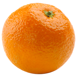 Detail Orange Transparent Background Nomer 36