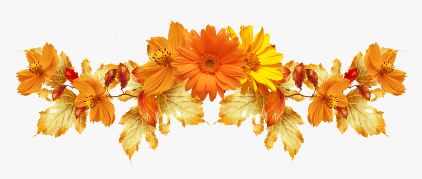 Detail Orange Transparent Background Nomer 49
