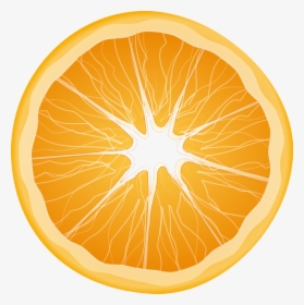 Detail Orange Transparent Png Nomer 37