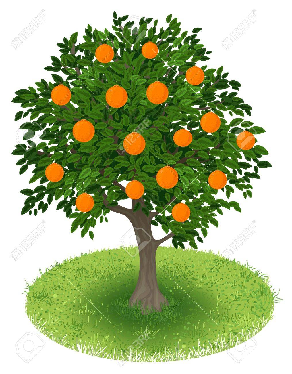 Detail Orange Tree Clipart Nomer 11