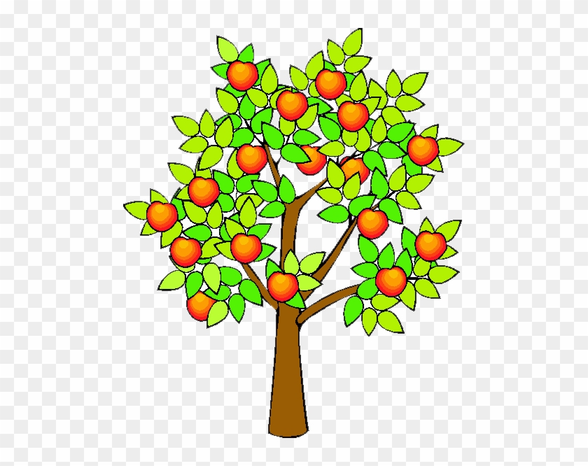 Detail Orange Tree Clipart Nomer 17