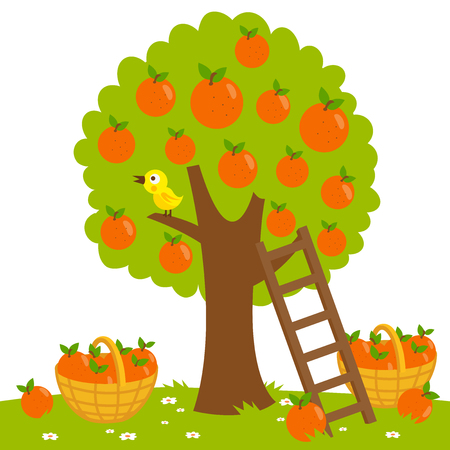 Detail Orange Tree Clipart Nomer 26