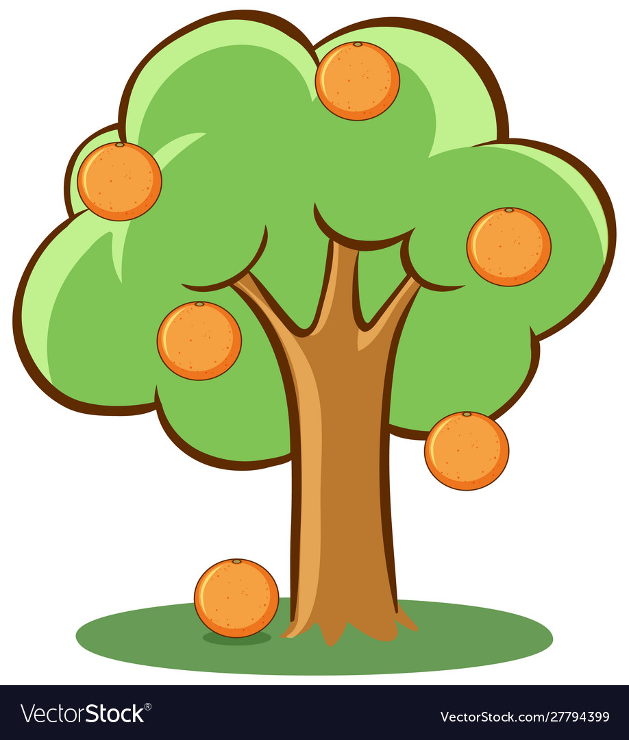 Detail Orange Tree Clipart Nomer 4