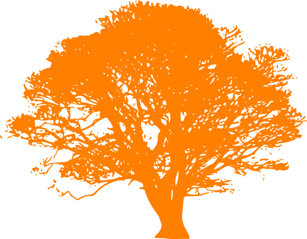 Detail Orange Tree Clipart Nomer 39