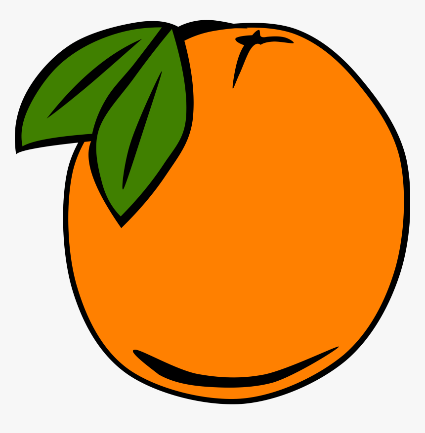 Detail Orange Tree Clipart Nomer 51