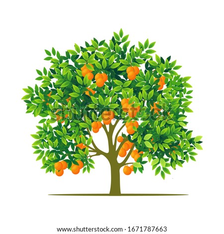 Detail Orange Tree Clipart Nomer 9