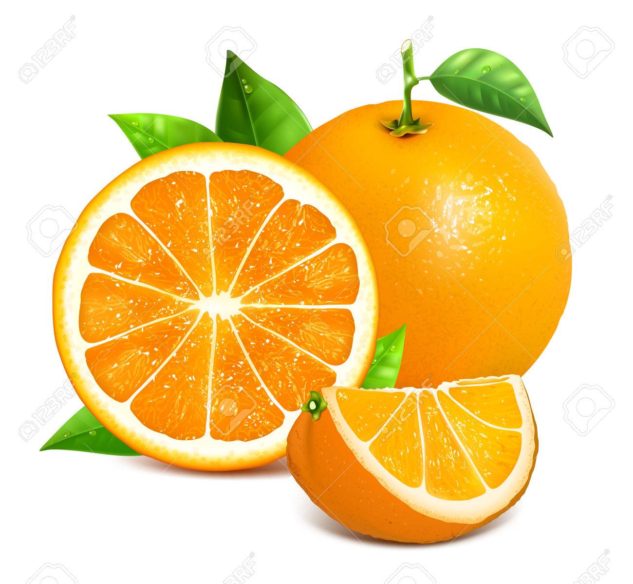 Detail Orange Vector Nomer 13