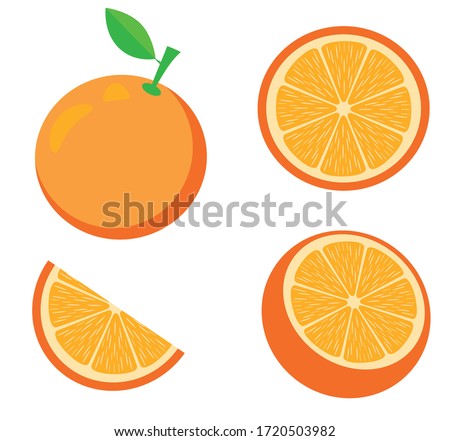 Detail Orange Vector Nomer 4