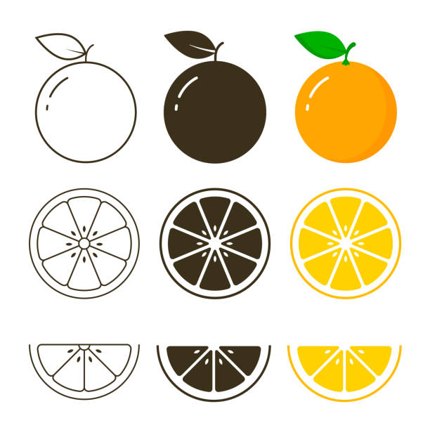 Detail Orange Vector Nomer 8