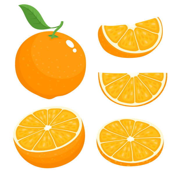 Detail Orange Vector Nomer 9