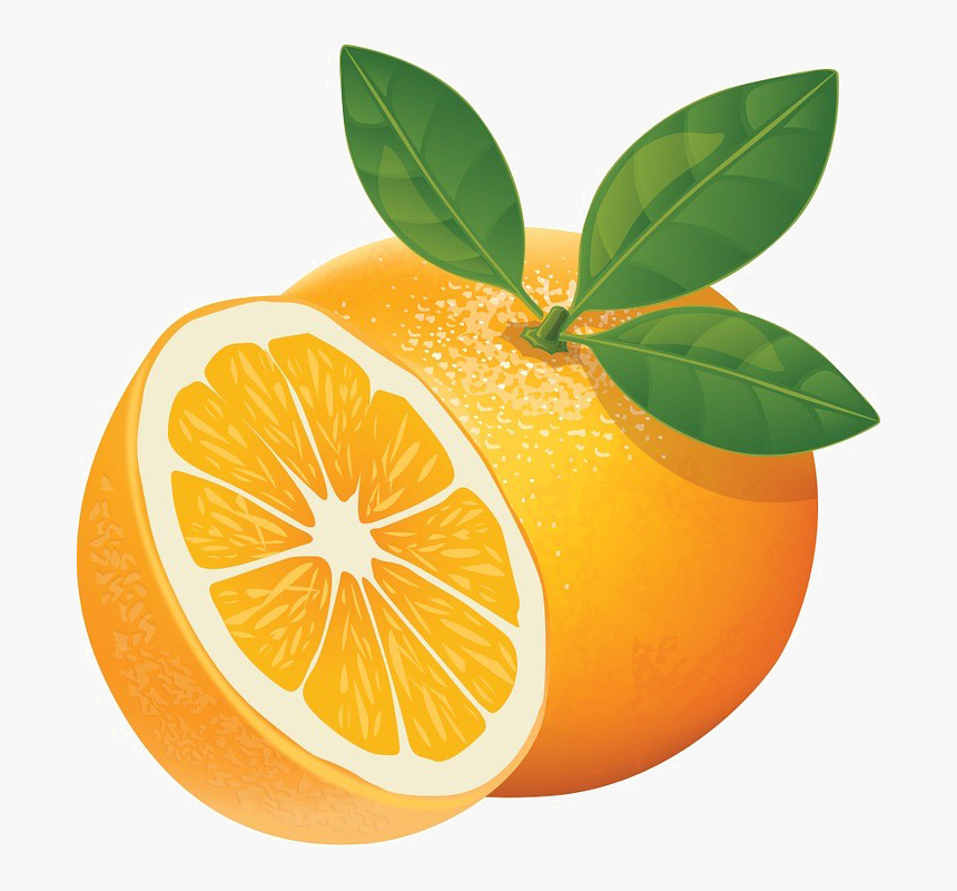 Orange Vector Png - KibrisPDR