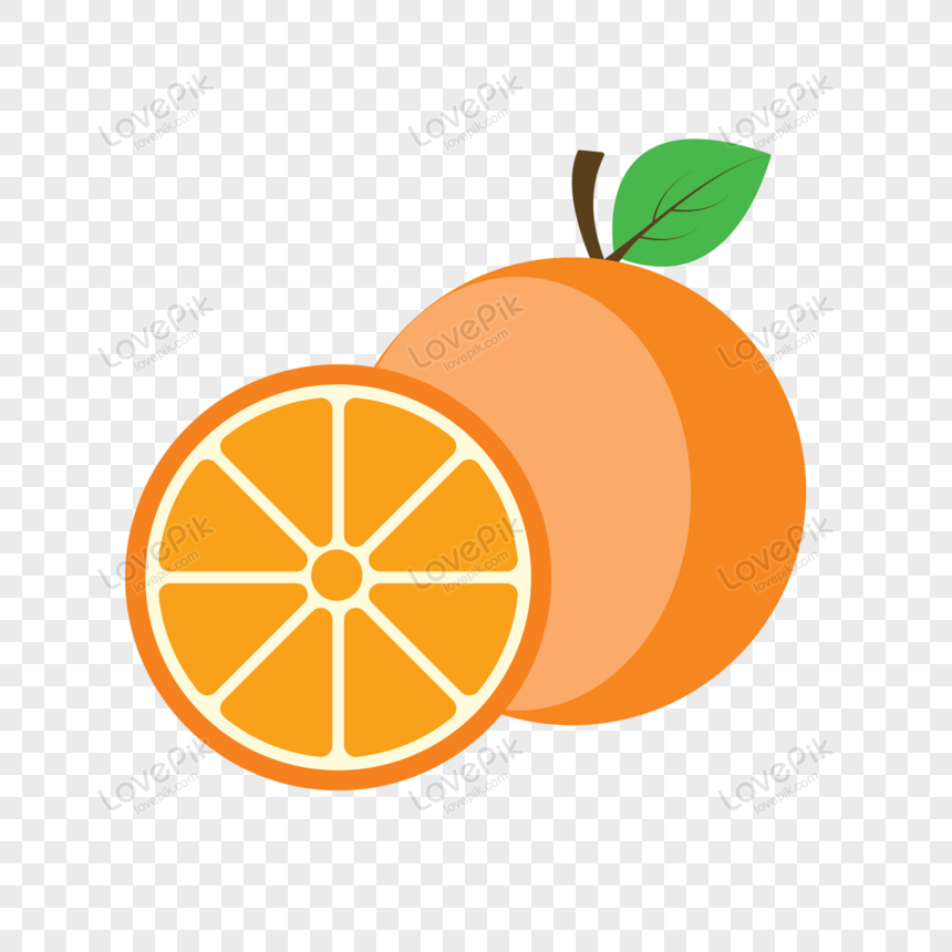 Detail Orange Vector Png Nomer 2