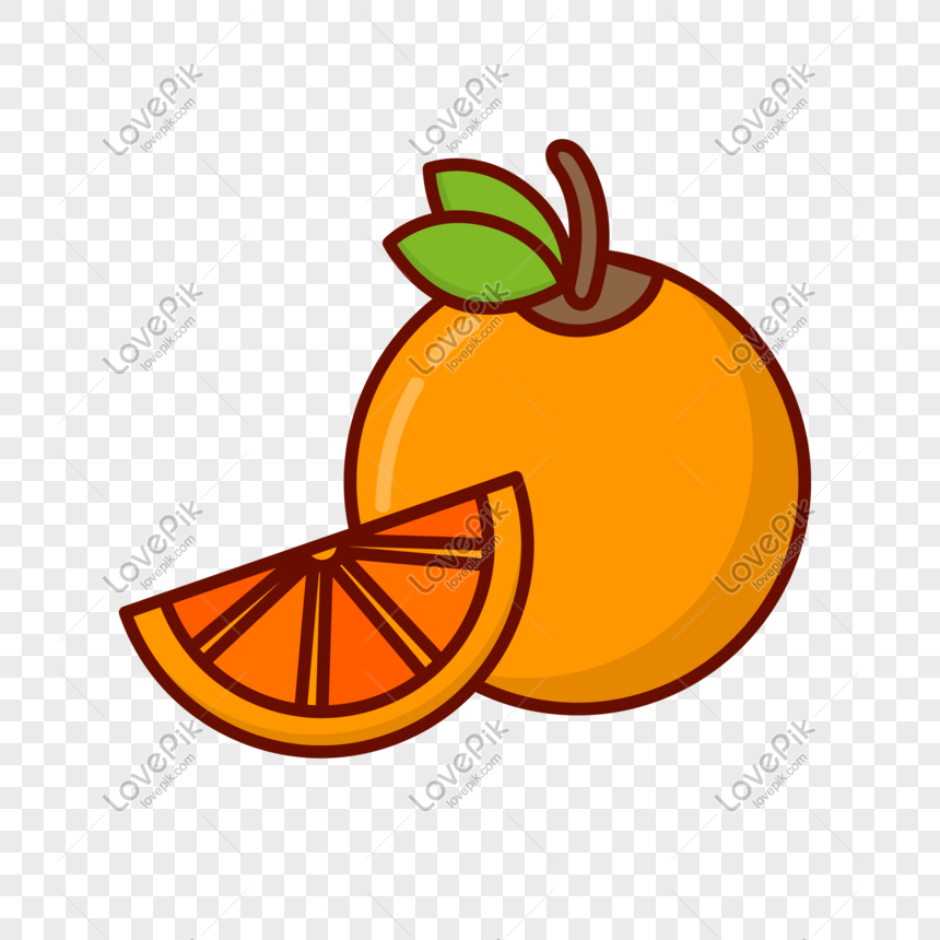 Detail Orange Vector Png Nomer 14