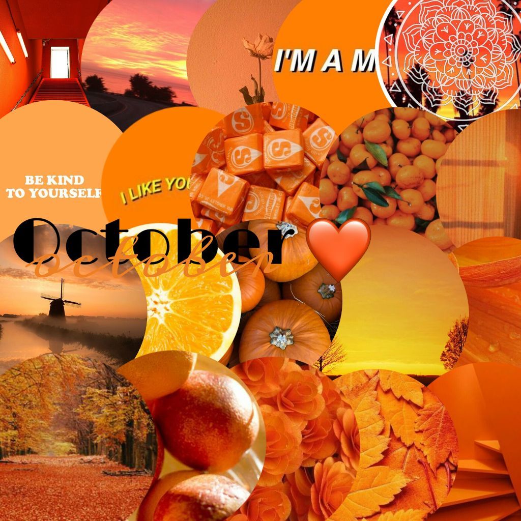 Detail Orange Wallpaper Tumblr Nomer 51