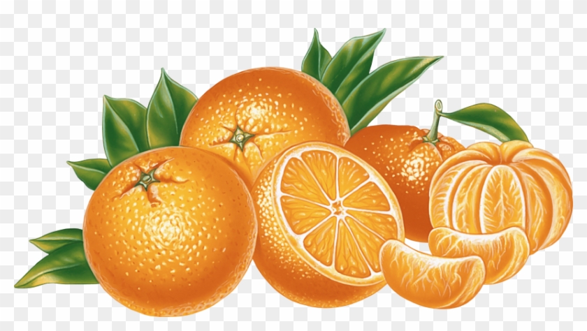 Detail Oranges Clipart Nomer 14
