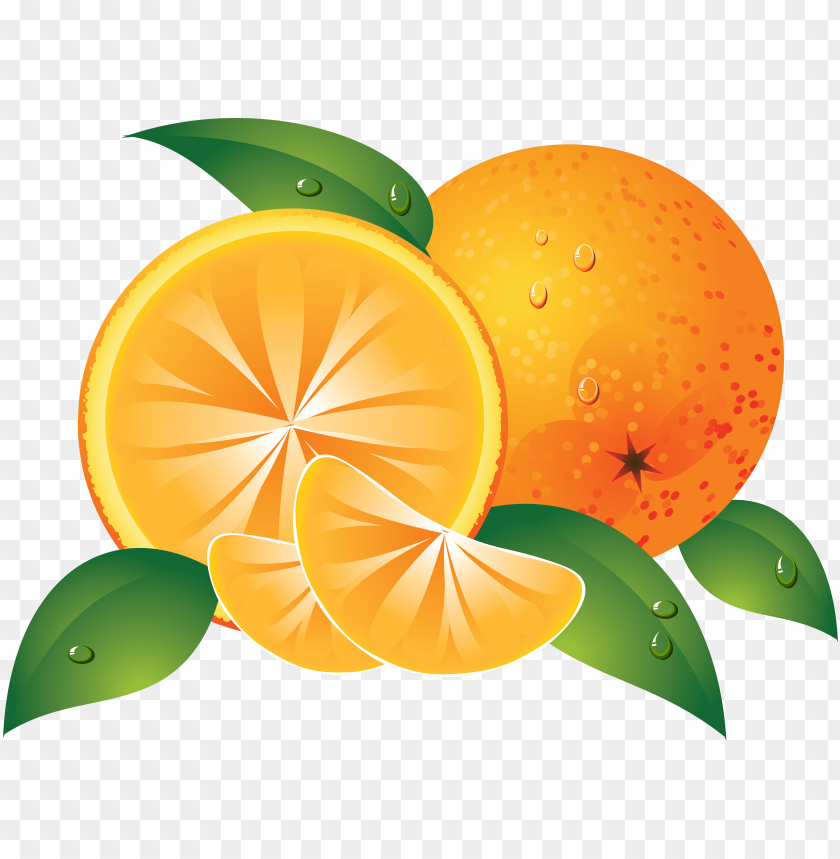 Detail Oranges Clipart Nomer 18