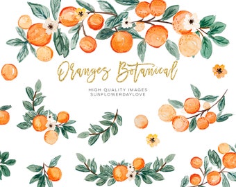 Detail Oranges Clipart Nomer 41